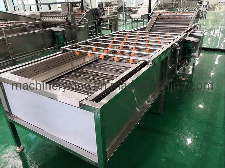 Industrial Fresh Vegetable Fruits Cleaning Processing Machinery
