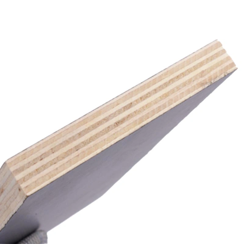 Factory Waterproof Glue Cheap Price Shuttering Film Faced Plywood with Sanding for Outdoor