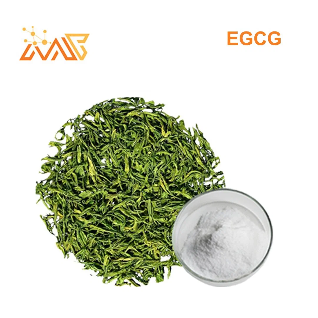 Extrait de thé d'alimentation de l'EGCG 989-51-5 98 %
