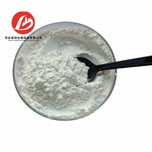 Top Quality Isrib Powder CAS 548470-11-7 Isr Inhibitor From Lingding Lab