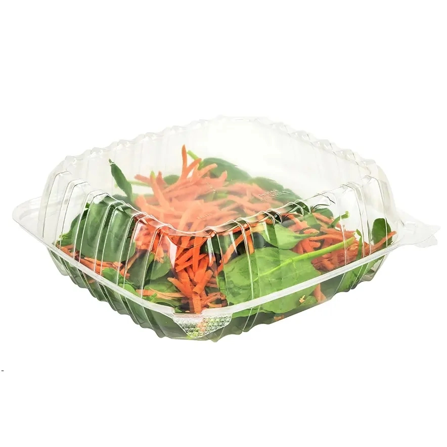 Wholesale Free Sample OEM Clear Container Plastic Disposable Container for Fruit Salad Cake Fast Food Dessert