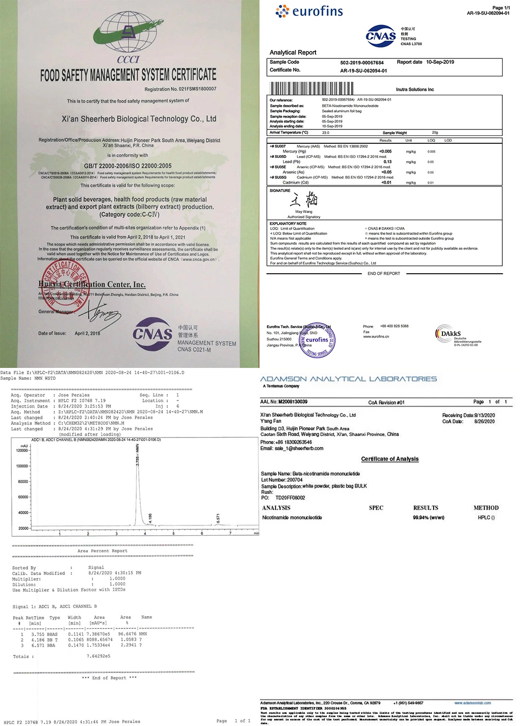 Mejor calidad de anís illicium verum extracto extracto de fruta con un 99% de ácido Shikimic CAS 138-59-0.