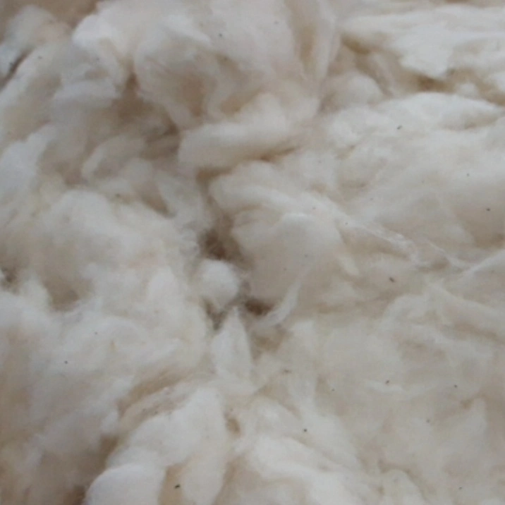 Venta caliente Natural 100% algodón