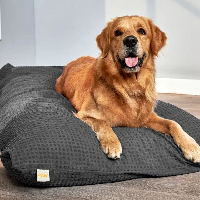 Cama souple et confortable PARA Perros Sofa-Style de luxe Grand lit Pet orthopédiques ergonomique mousse à mémoire de lit pour chien