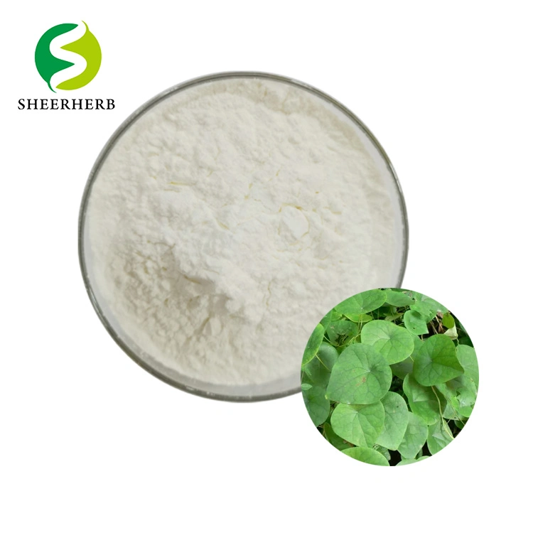 Suministro de la fábrica Sheerherb Stephania Japonica extraer 98% puro polvo Cepharanthine CAS 481-49-2