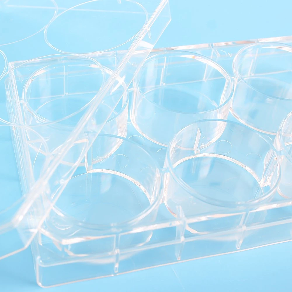 Factory Outlets Lab Disposables Servicebio Pure Sterilized Sterile Stackable Cell Culture Plate