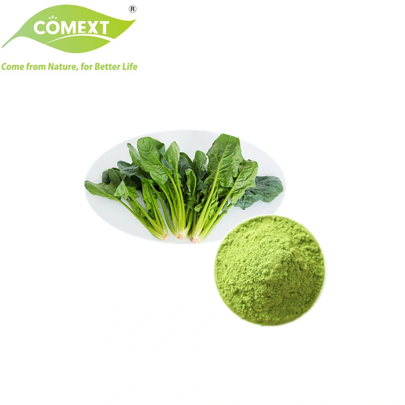 Comext Best Price Free Sample Vegetable Powder High quality/High cost performance 100% Natural Pure Spinach Powder