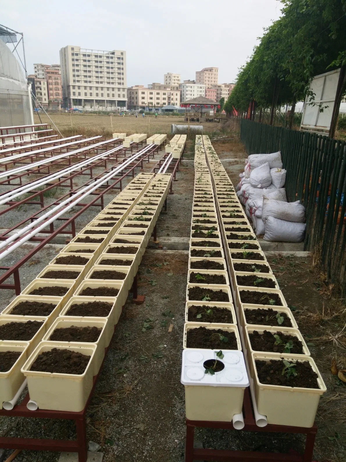 Profesional utilizado en plantas de Vine de invernadero Buckets sistema de crecimiento hidropónico Kit