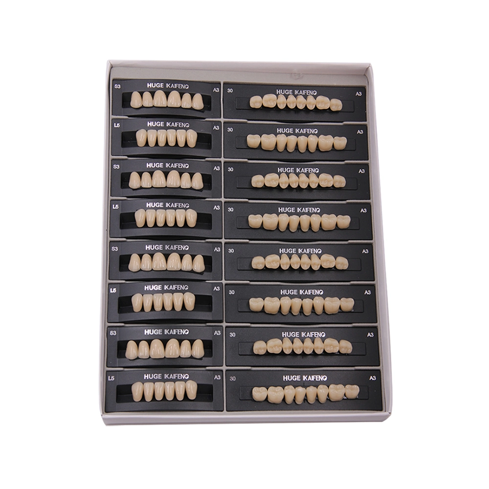 Dental Technical Product Synthetic Resin Teeth S3 L5 False Teeth