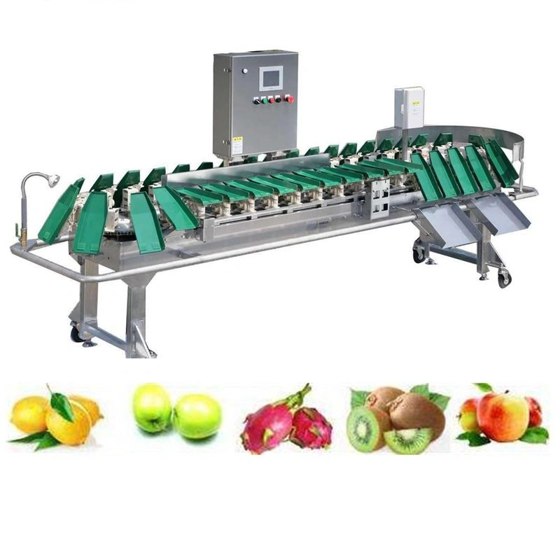 Alimentos Peso Fruitprawn Sorter Máquina de classificação