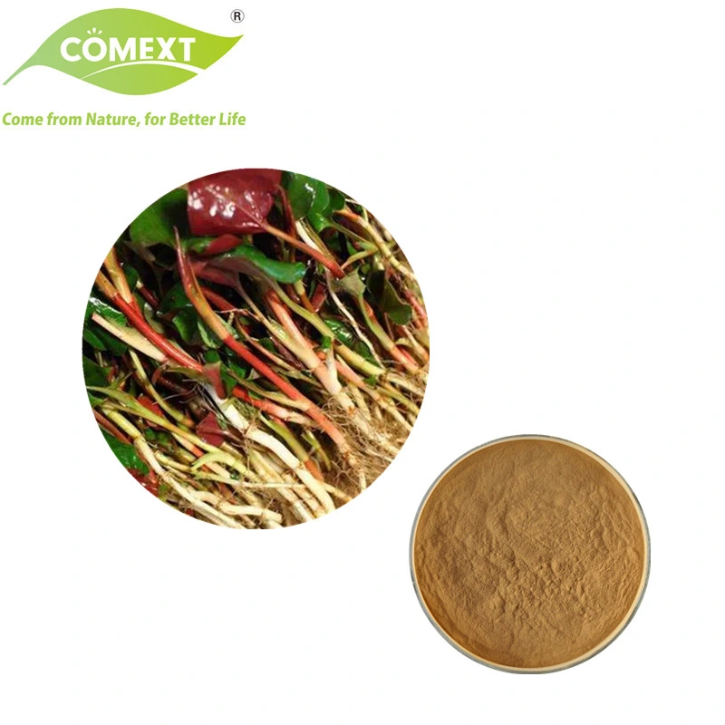 Comext Factory Halal Kosher Free Sample Natural Plant Extract Health Product Houttuynia Extract Powder