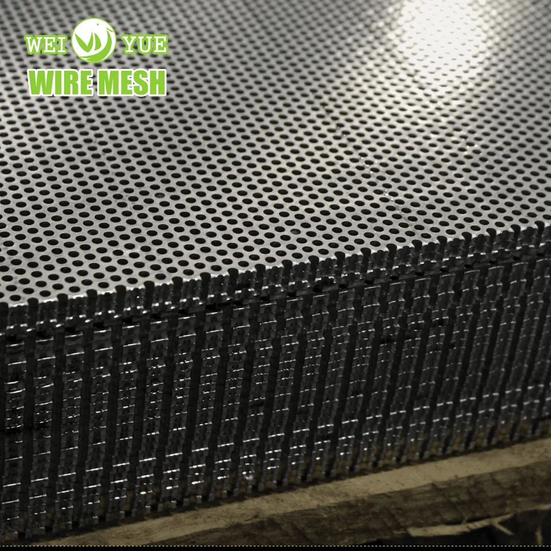 Hot-Dipped Galvanized Decorative Perforated Sheet Metal for Wall Panels Ceilings