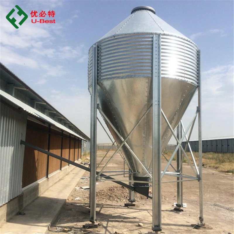 Automatic Broiler Chicken Feeding Line System Poultry Farm Equipment