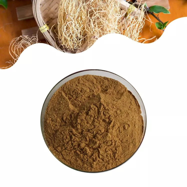 Chinese Herbal Medicine Asarum Root Extract Asarum Heterotropoides Extract