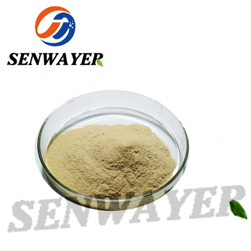 Factory Supply Corn Silk Extract with High Purity Best Price