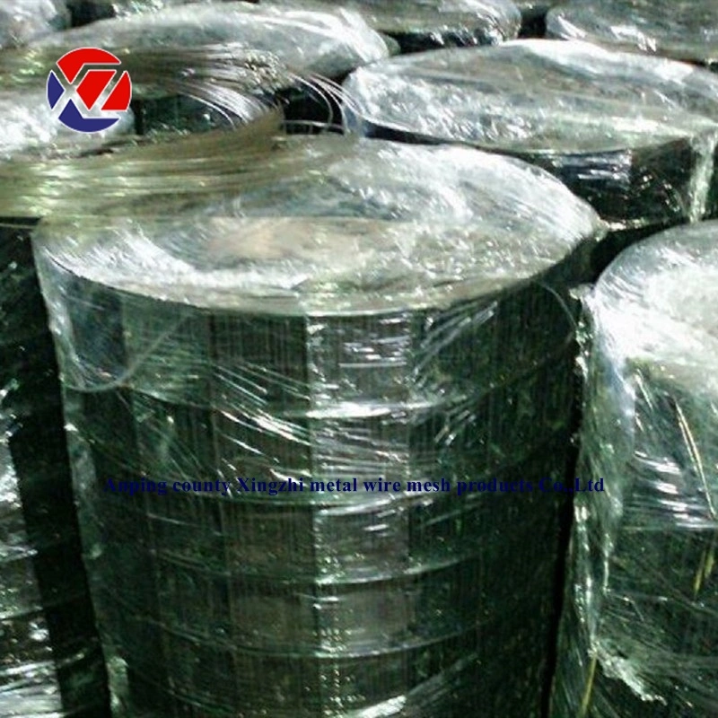 Black PVC Coated Big Hole Welded Wire Mesh