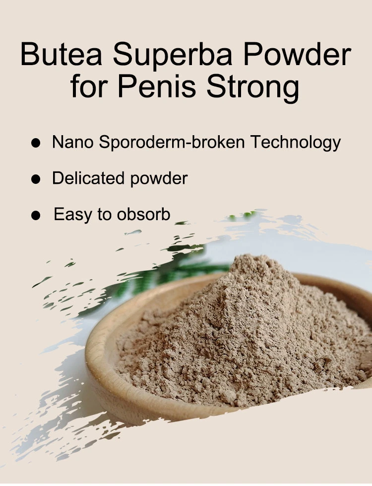 Pure Extract Powder for Male Penis Enlargement Medicine No Side Effect
