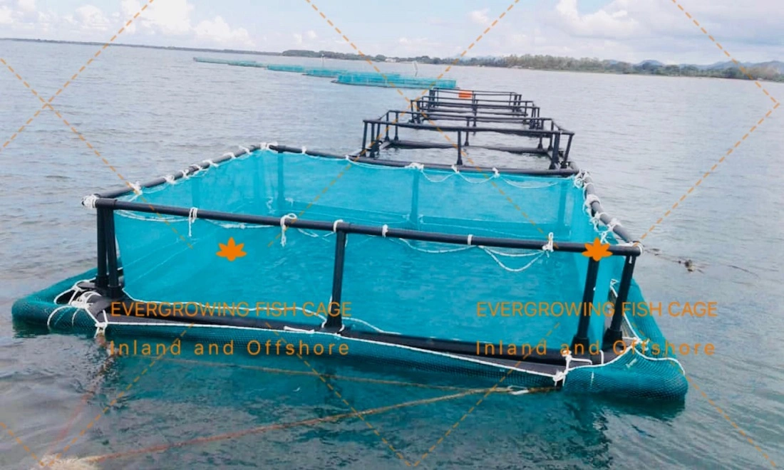 China Strong Long Lifespan HDPE Floating Fishing Net Cage for Square Aquaculture Fish Farming