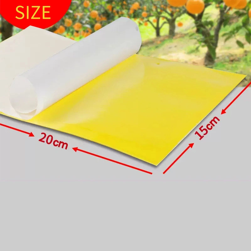 Wholesale/Supplier Custom Sticky Paper Indoor Outdoor and Garden Fly Glue Trap