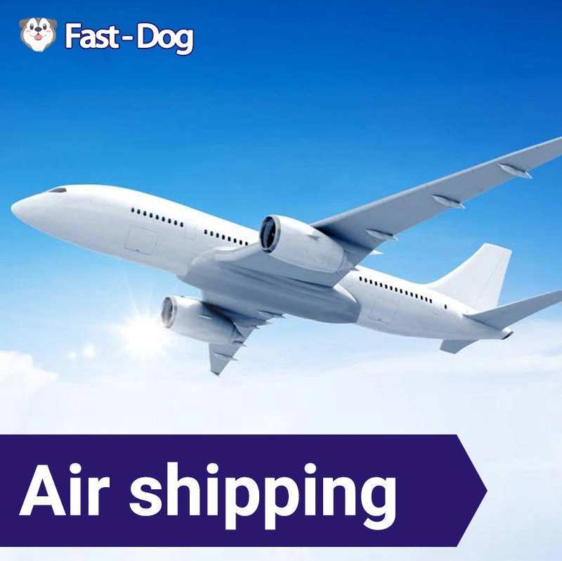 Low Shipping Price Air/Sea/Express Freight Forwarder Agents DHL/UPS/TNT DDP to Germany/UK/Canada/USA