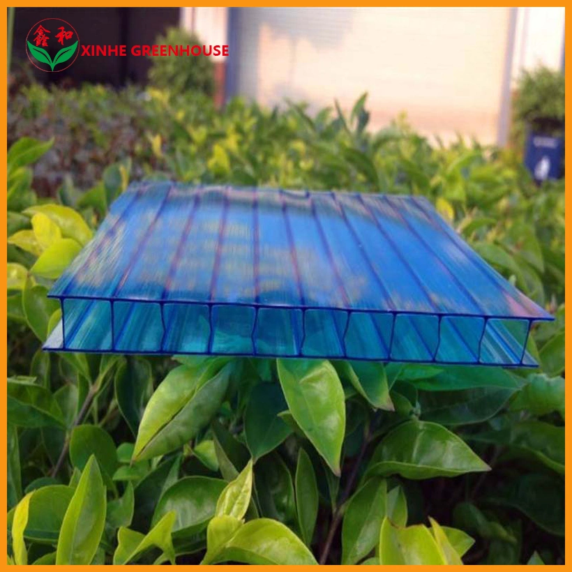 Low Price Hot-Dipped Galvanized Tube Polycarbonate Sheet Greenhouse