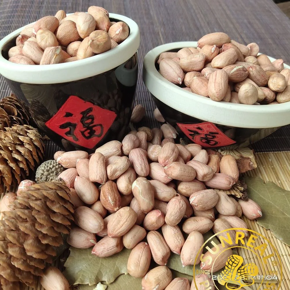 Raw Peanut Kernels Virginia 24/28 China//Good Service/All Necessary Licenses and Certificates