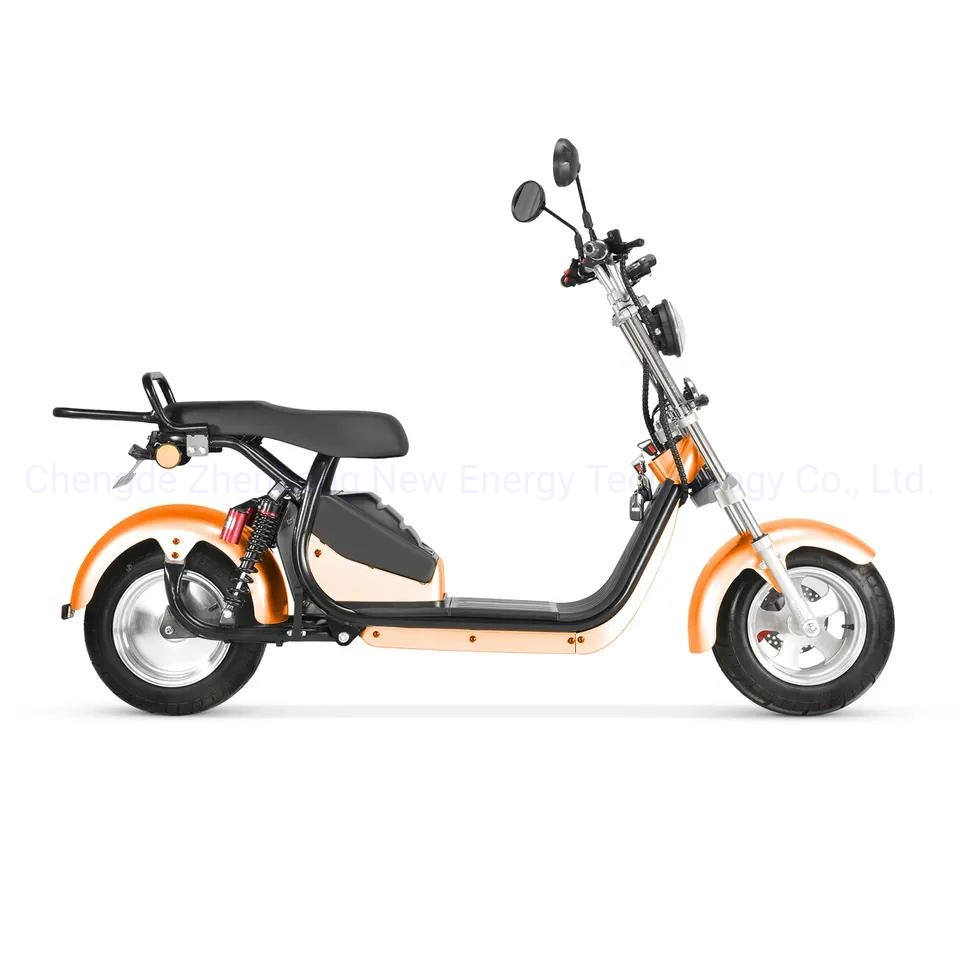 Two Wheels Adult Electric Scooter with Seat 60V 1500W Sport Scrooser Citycoco with Optional GPS