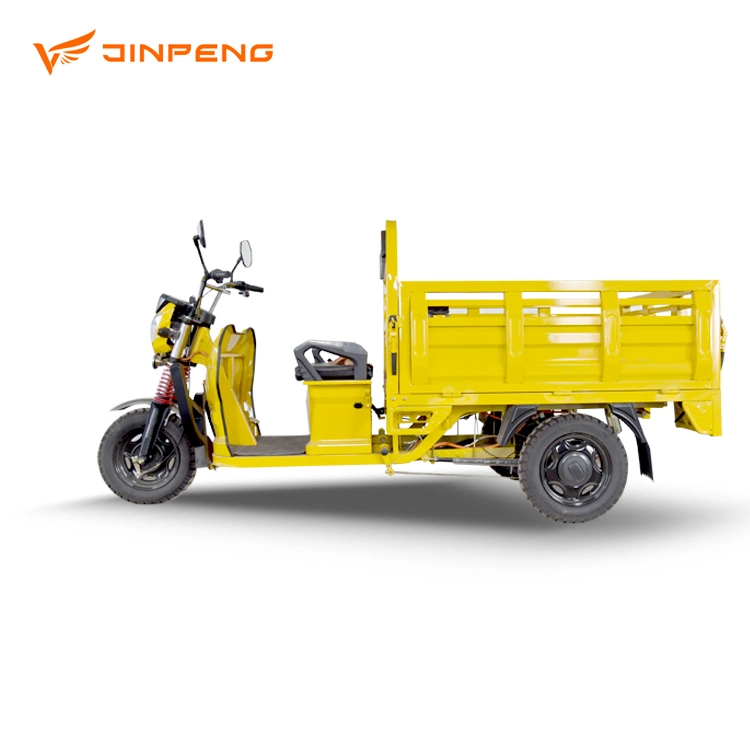 1000W Motor Three Wheel Electric with Drum Brake