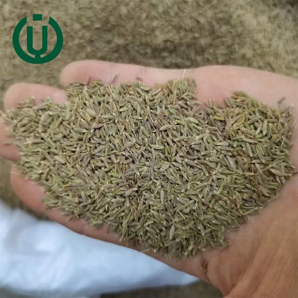 Factory Bulk New Crop 2023 Wholesale/Supplier Spices Cumin Seed