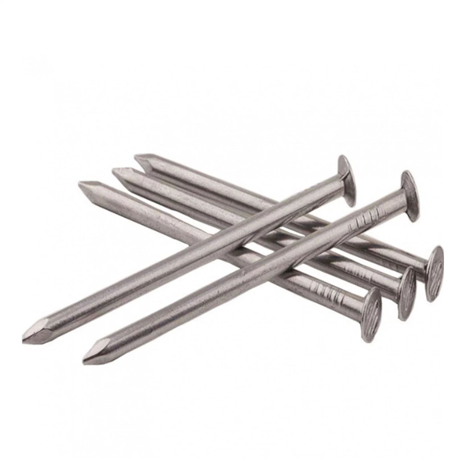 Q195 Common Iron Nails Building Nail/ Polished Nail/Hardware Nails/Wood Nails for Construction