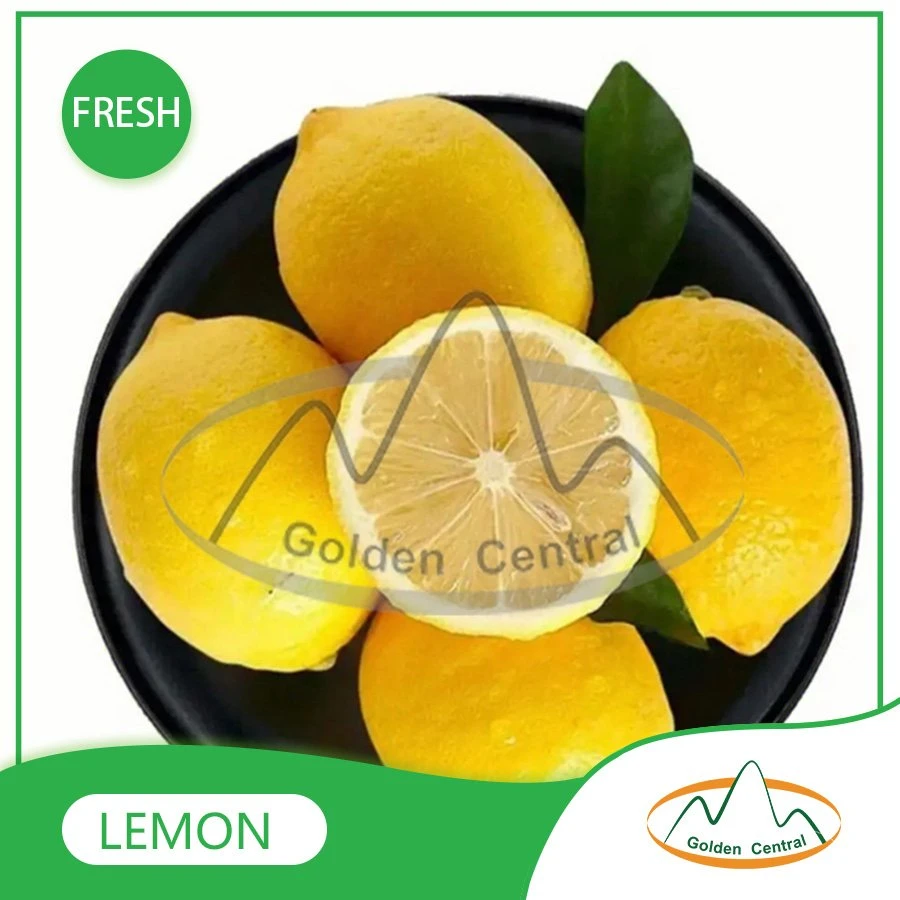 Wholese High quality/High cost performance  New Harvest Fresh Seedless Lime Lemon