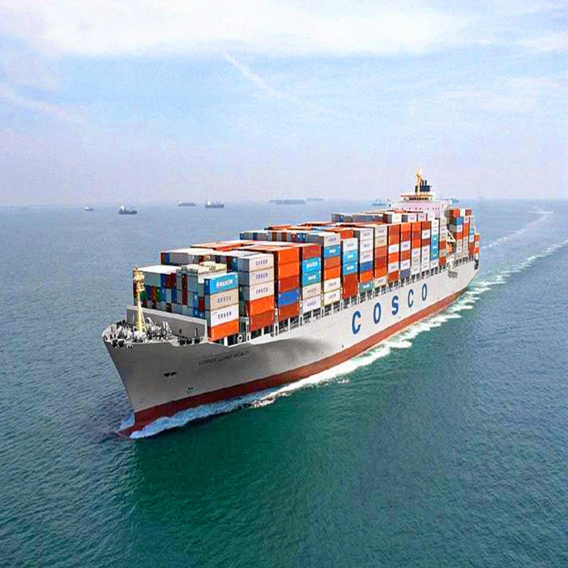 Ksd Provides International Logistics FCL Shipping for Sea Freight Forwarder Shipment Service