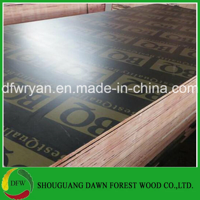 Film Faced Plywood Concrete Formwork Plywood