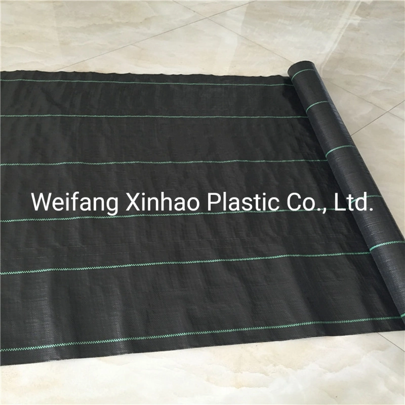 Original Factory Agriculture PP Woven Plastic Fabric Roll Ground Cover Weed Barrier