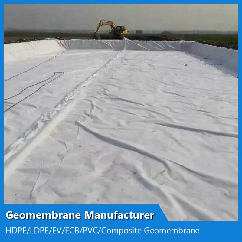 300g-0.6mm-300g Composite Geomembrane with Two Layers Geotextile One Layer Geomembrane for Fish Ponds/Shrimp Ponds/ Oxidation Ponds/Livestock Breeding