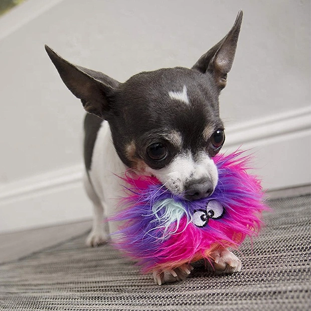 Mayorista/Proveedor personalizado cachorro de perro de juguete de peluche bolas de colores suaves Chew Toy