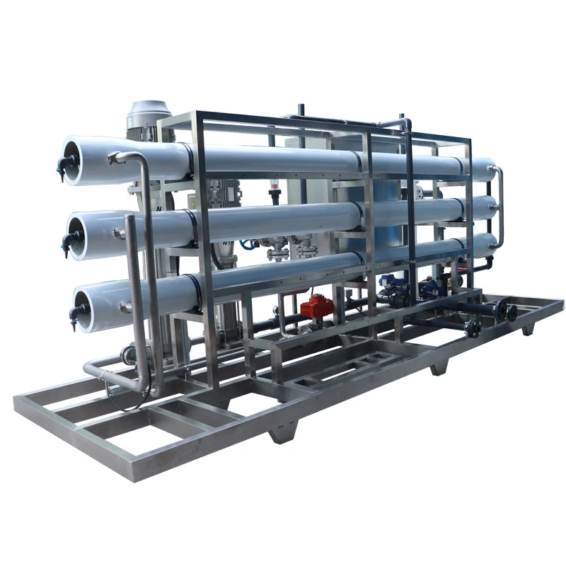 Sea Water Treatment Equipment 8t Project Case Reverse Osmosis System Salt-Removal Filtration Plant RO Water Treatment Machine Seawater Desalination From China