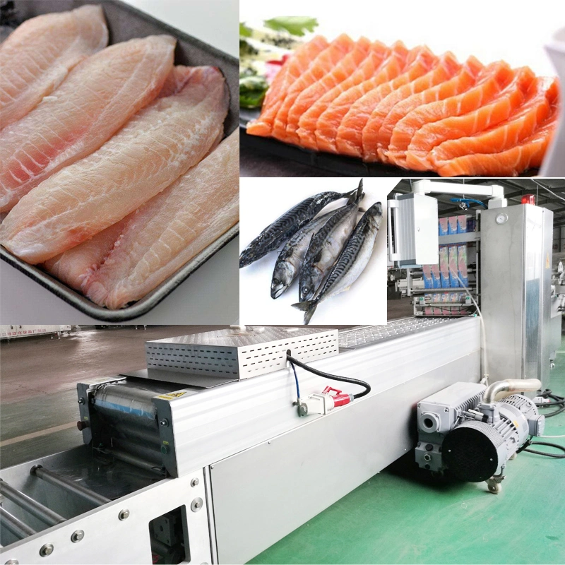 Full Automatic Frozen Meat Vacuum Skin Packaging/Packing Machine