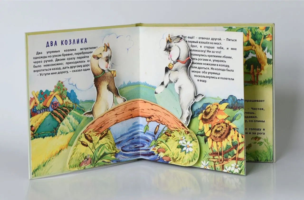 Children's Hardcover Book Printing Picture Book Printing