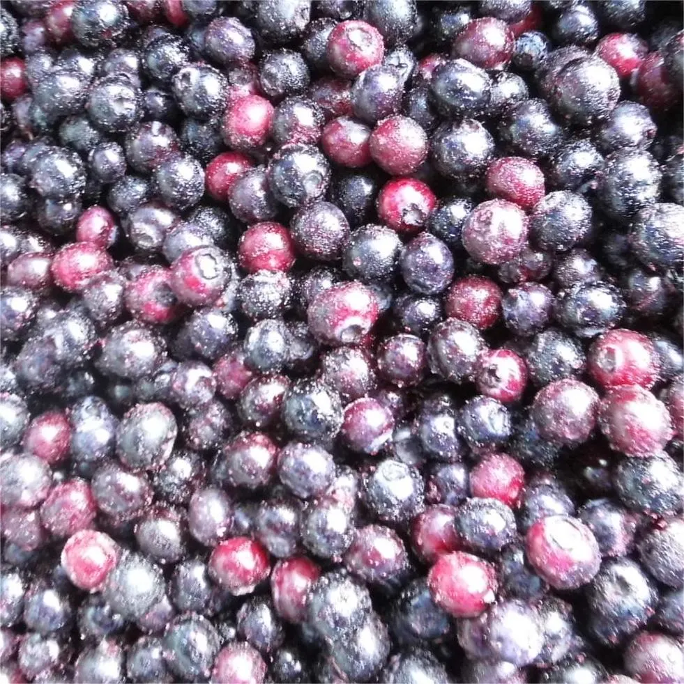 IQF Frozen Blueberry