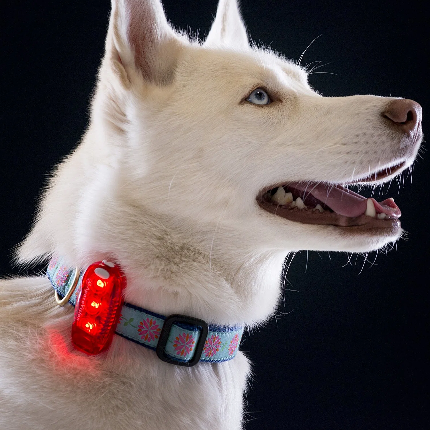 Clip on Strobe/Running Lights for Runners, Dogs, Bike, Walking Best High Visibility Light