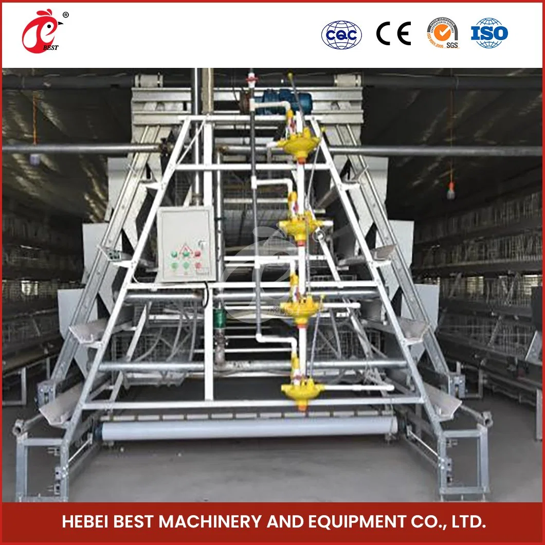 Bestchickencage a Type Automatic Pullet Cage China 3 Layers Chicken Pullet Cage Factory Wholesale/Supplier Quick Clean Disinfect Features Chicken Pullet Coop