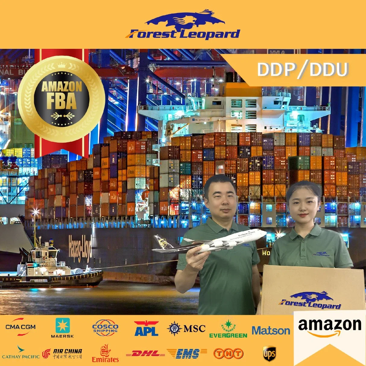 China Top 10 International Logistics Company Professional Freight Forwarder Shipping Service From China to USA DDP