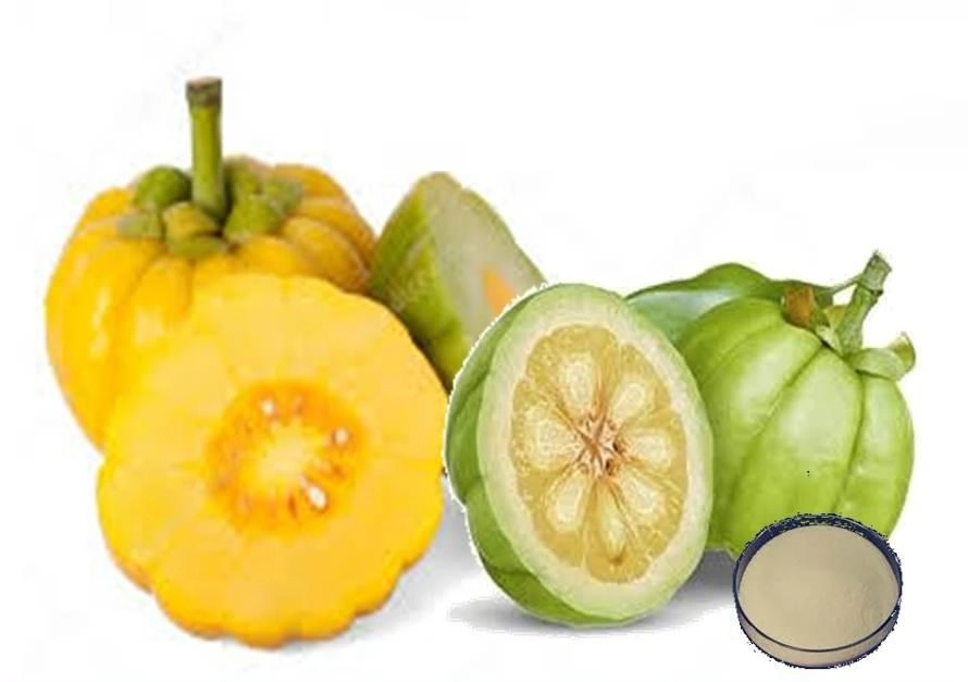 E. K hierba china de fábrica líder en el 100% Natural extracto de Garcinia Cambogia la pérdida de peso hidroxi ácido cítrico (HCA) orgánicos en polvo extracto de Garcinia Cambogia