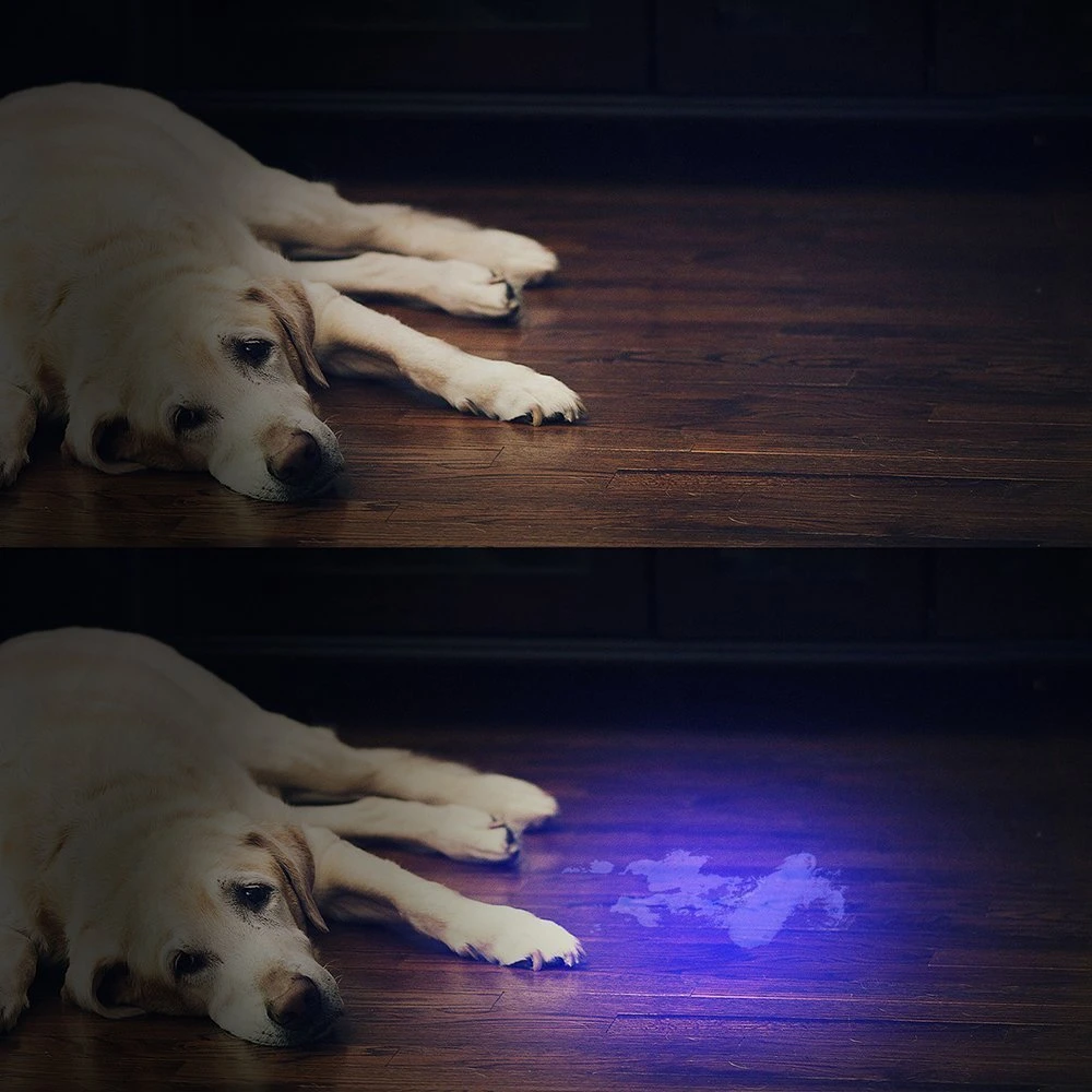 51LED UV Pet Cat &amp; Dog Detector de orina Home Negro Linterna