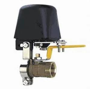 Detector de Co Gas inalámbrico con salida de relé y solenoide Válvula (es-6505GD)