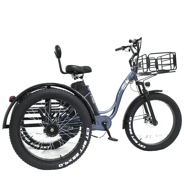 China Manufacturer 3 Wheels Open Top Cargo E Bike LED Display Light Shimano 7-Speed Gear Electric Tricycle for Sale