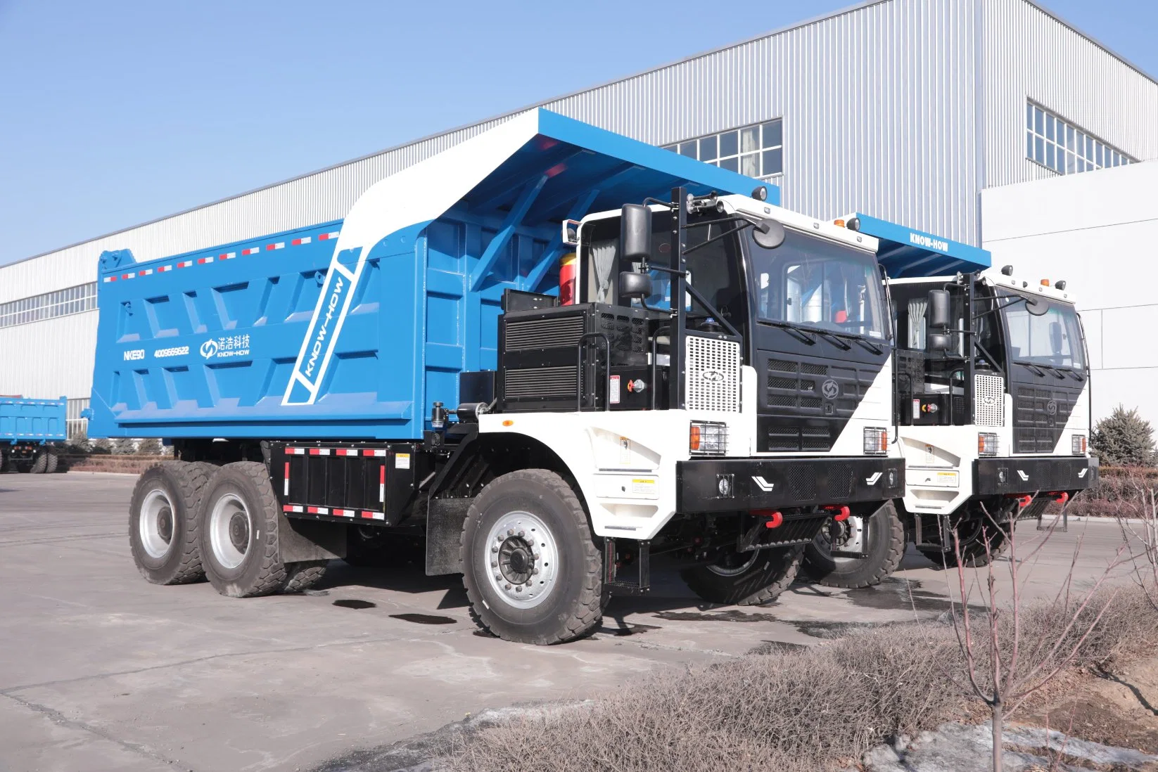 40 Cbm~60 Cbm Capacity Customized Truck for Sale Heavy Loading