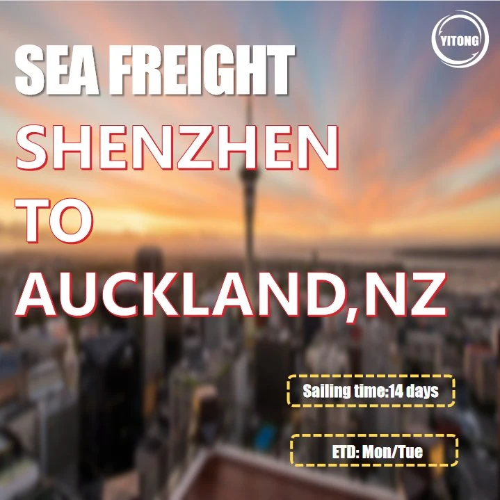 Sea Freight From Shanghai to Auckland New Zealand