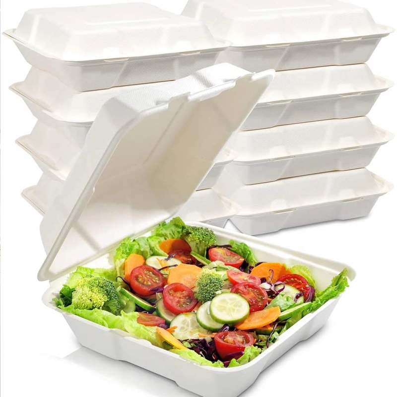 Paper/Packing/Storage/Packaging Biodegradable Eco Pulp Packaging Box Disposable Paper Food Container